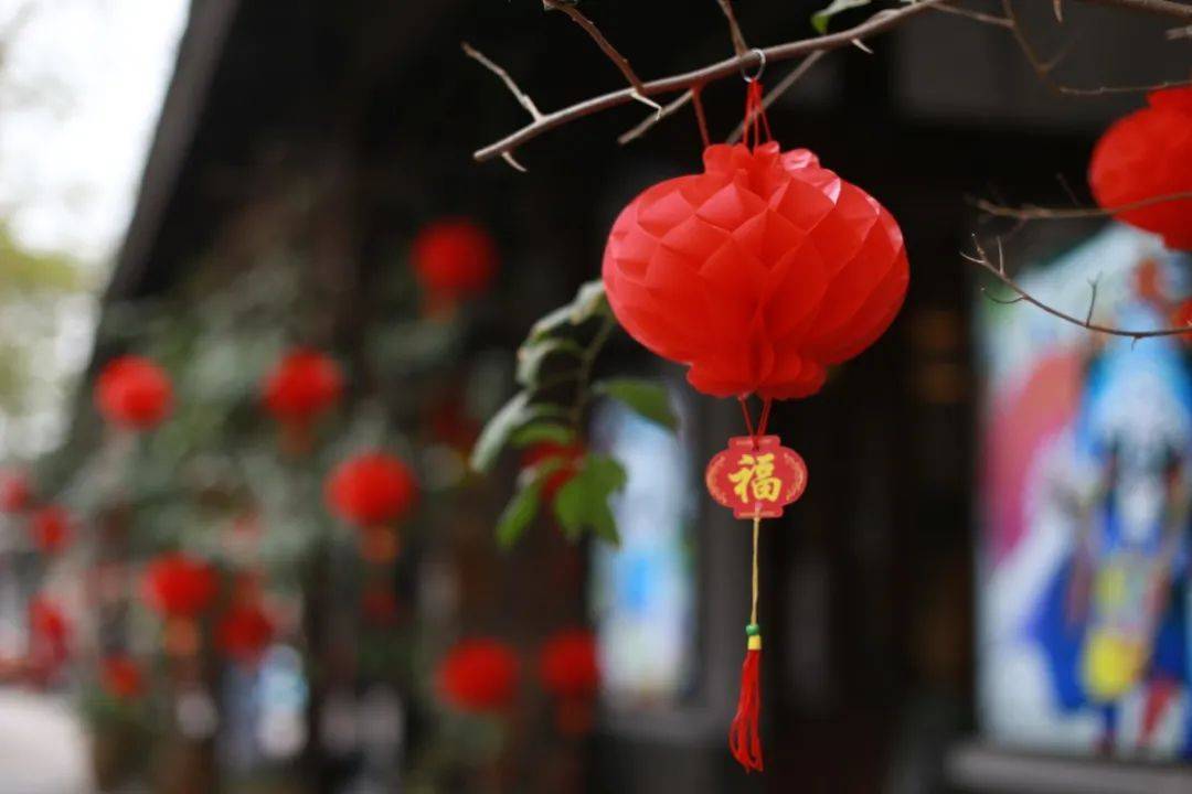 露珠和汤圆能猜什么成语_露珠(2)