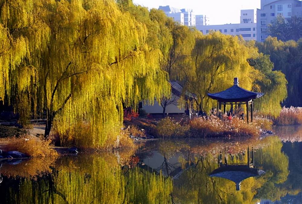 想在北京去游玩的好地方，不用花钱感受春天气息。