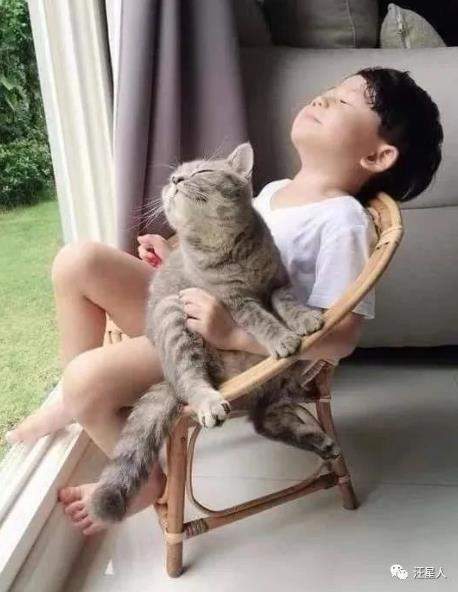猫咪和主人一起散步 e495976eec6942e38af14a24695d80c7.jpeg