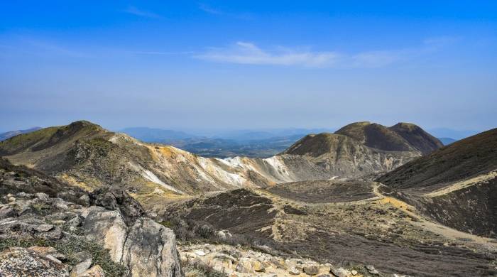 春节“一人食”消费大火,单身经济能成为家电新引擎吗?-家电圈官网