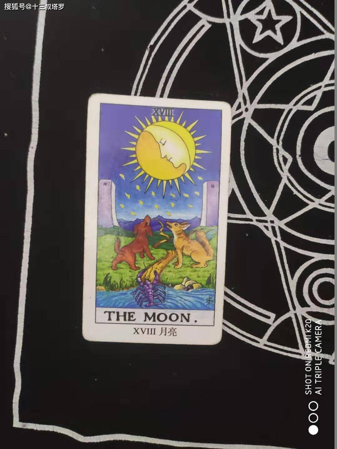 塔罗牌占卜爱情分手后多久你才会重新开始恋爱