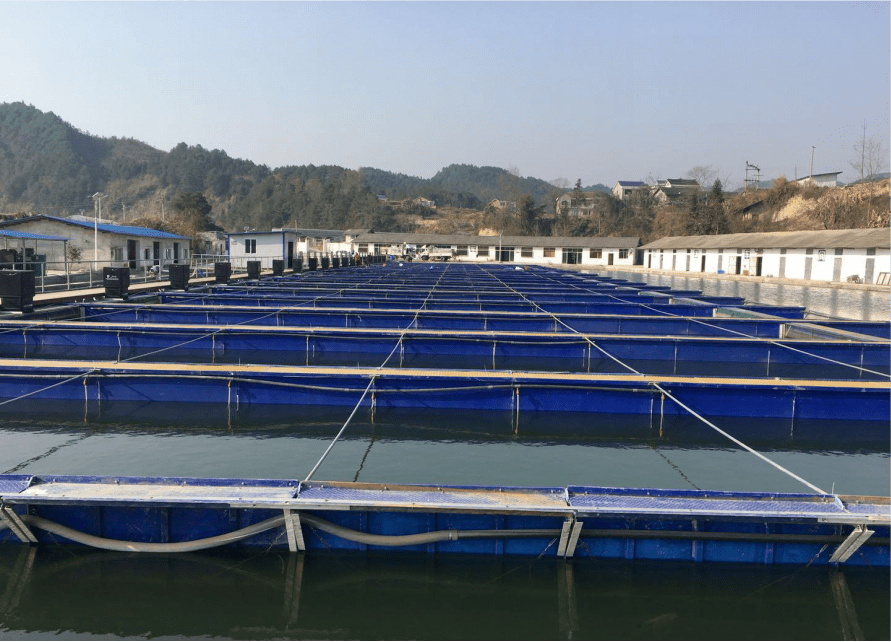 贵州省三穗县,养殖水域面积达215亩,于2019年12月建成国家级恒温鱼苗