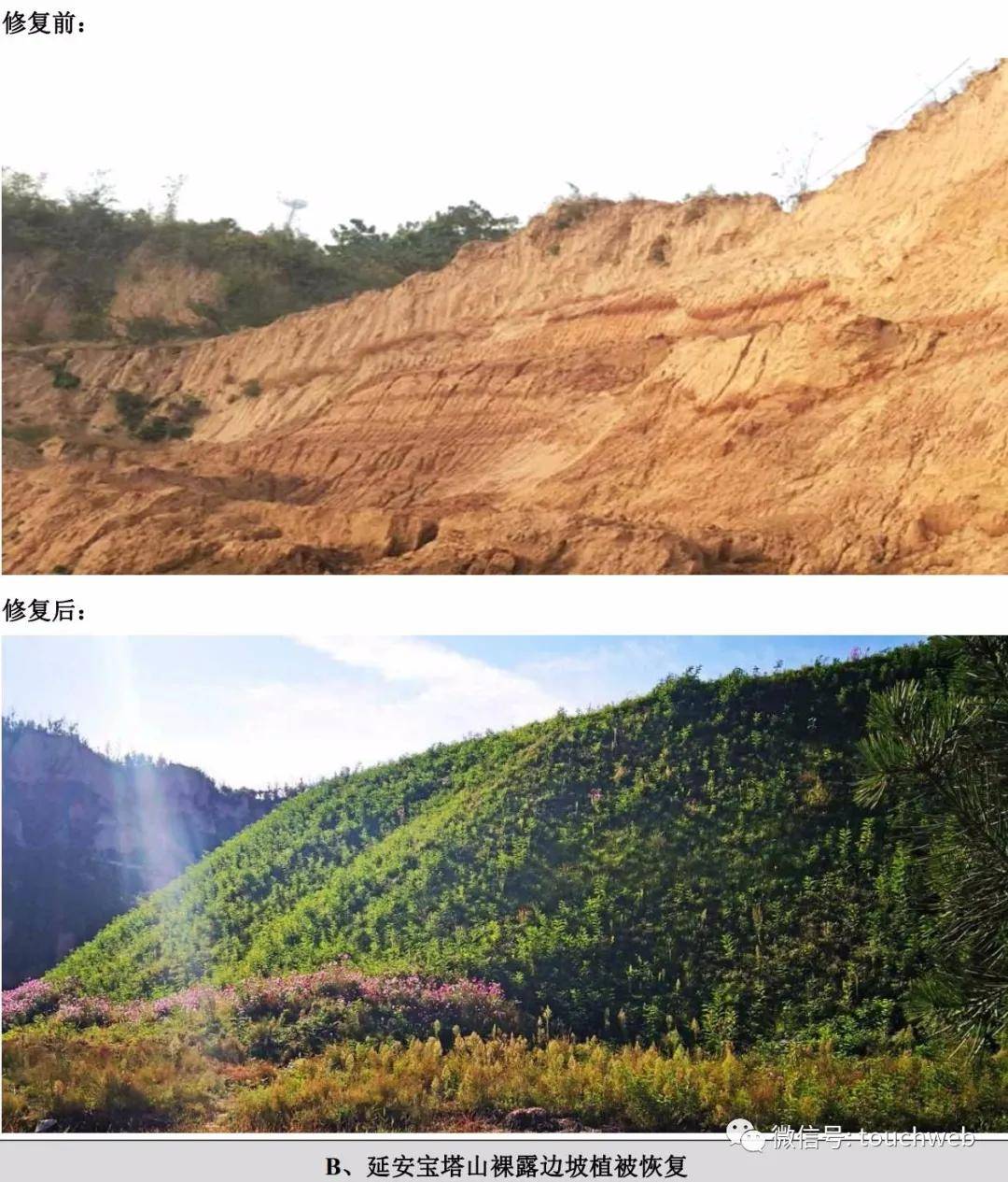 冠中生态深交所上市:市值55亿 为李春林许剑平夫妻店(图4)