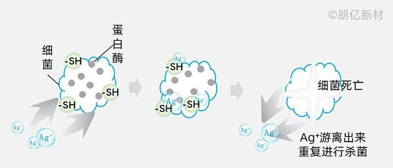 大部分致病性細菌都是單細胞微生物,主要依靠蛋白酶來維持新陳代謝.