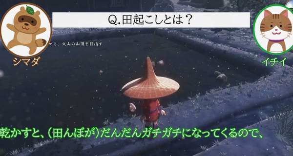 稻米|日本真实农家玩《天穗之咲稻姬》 详细解读真假种稻米