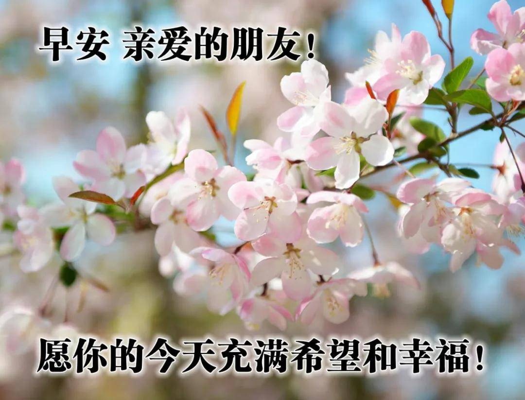 原创唯美早安问候语动画2021最新创意早上好表情图片合集