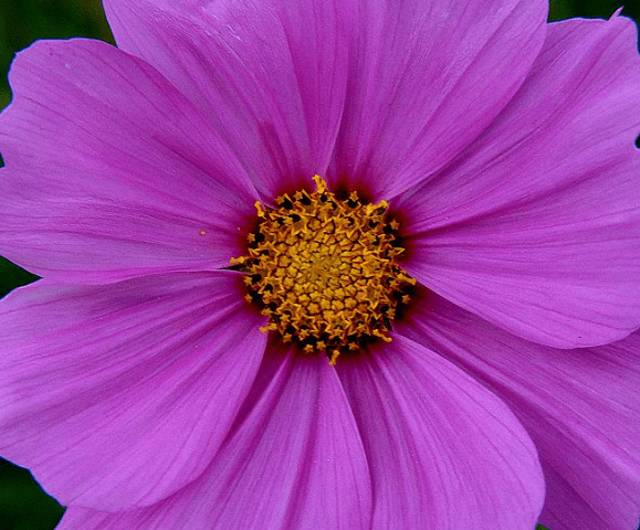 21年 3月4日 财富如雨 运势会逆转 事业顺利十二生肖排行榜 等待机会