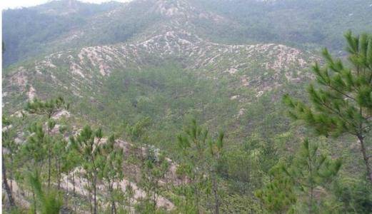 村旁什么成语_成语故事图片