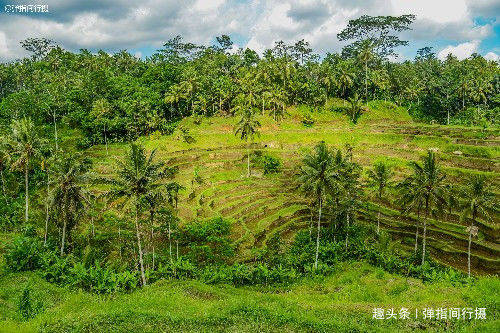 印尼巴厘岛梯田景观，田园风光融入艺术生活，获评世界文化遗产
