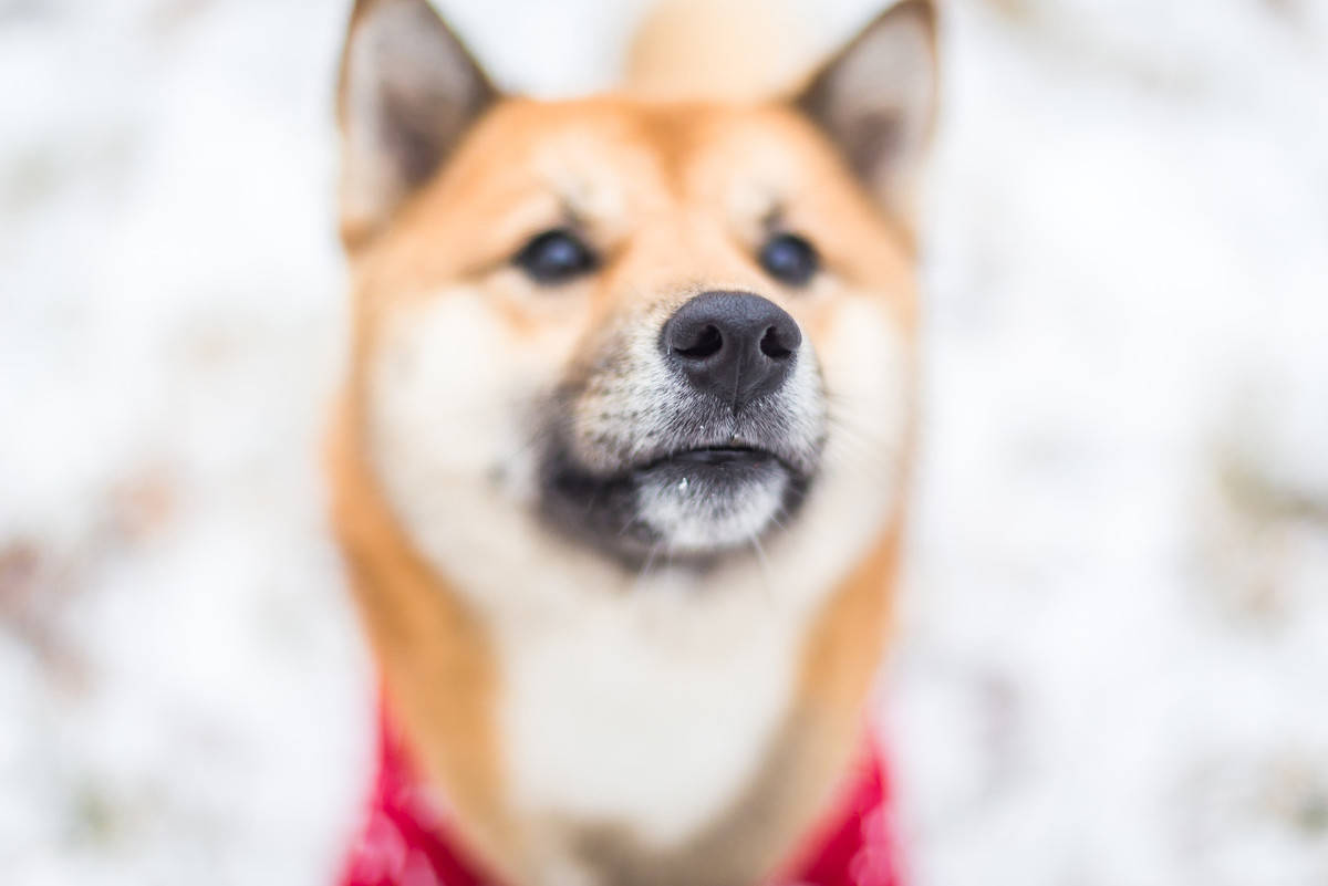 2021年笑出眼泪的段子,幽默风趣,爆笑频频