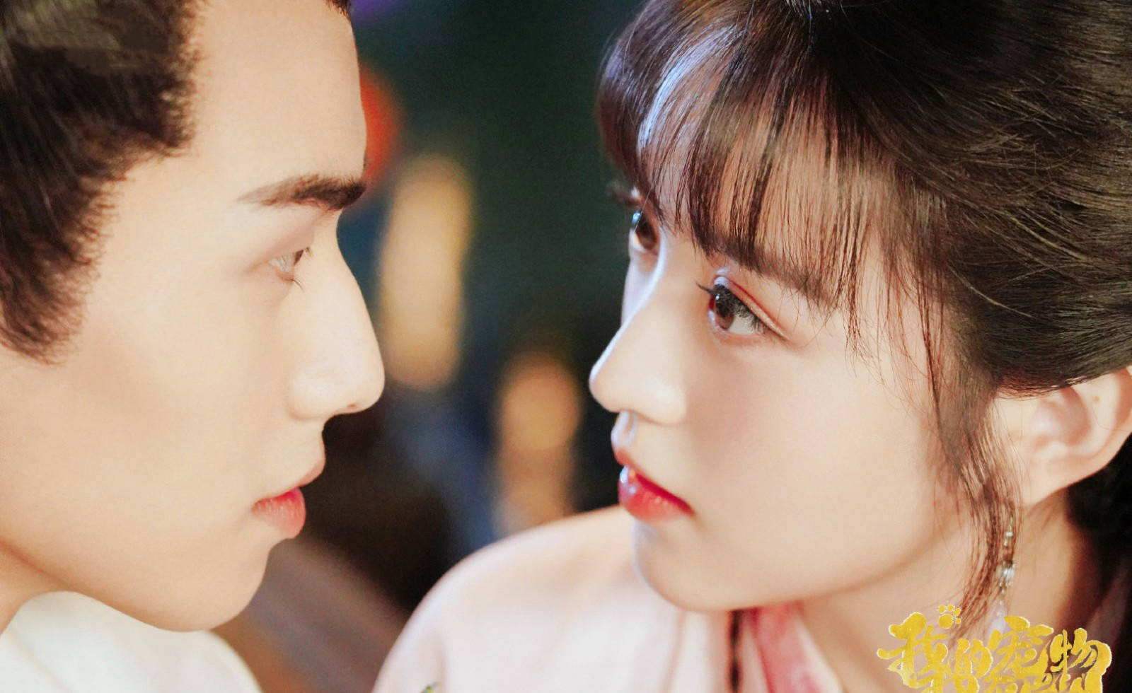 我的宠物少将军尊贵的喵星王子为何会爱上平凡的人类女子