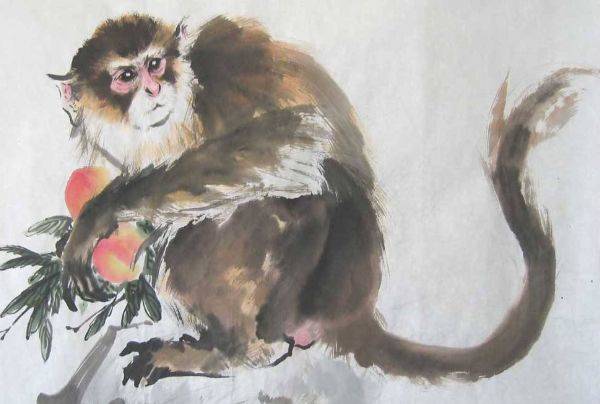 青出于蓝而胜于蓝:特别是1968年52岁的,老人说的话真不假!_猴猴