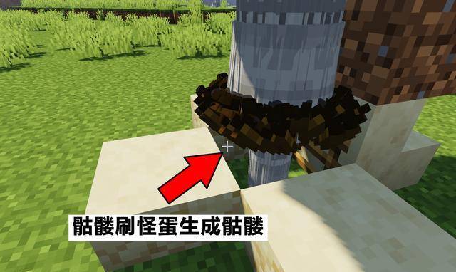 7433cfe5ab404bbebff49c32aba9cded.jpeg