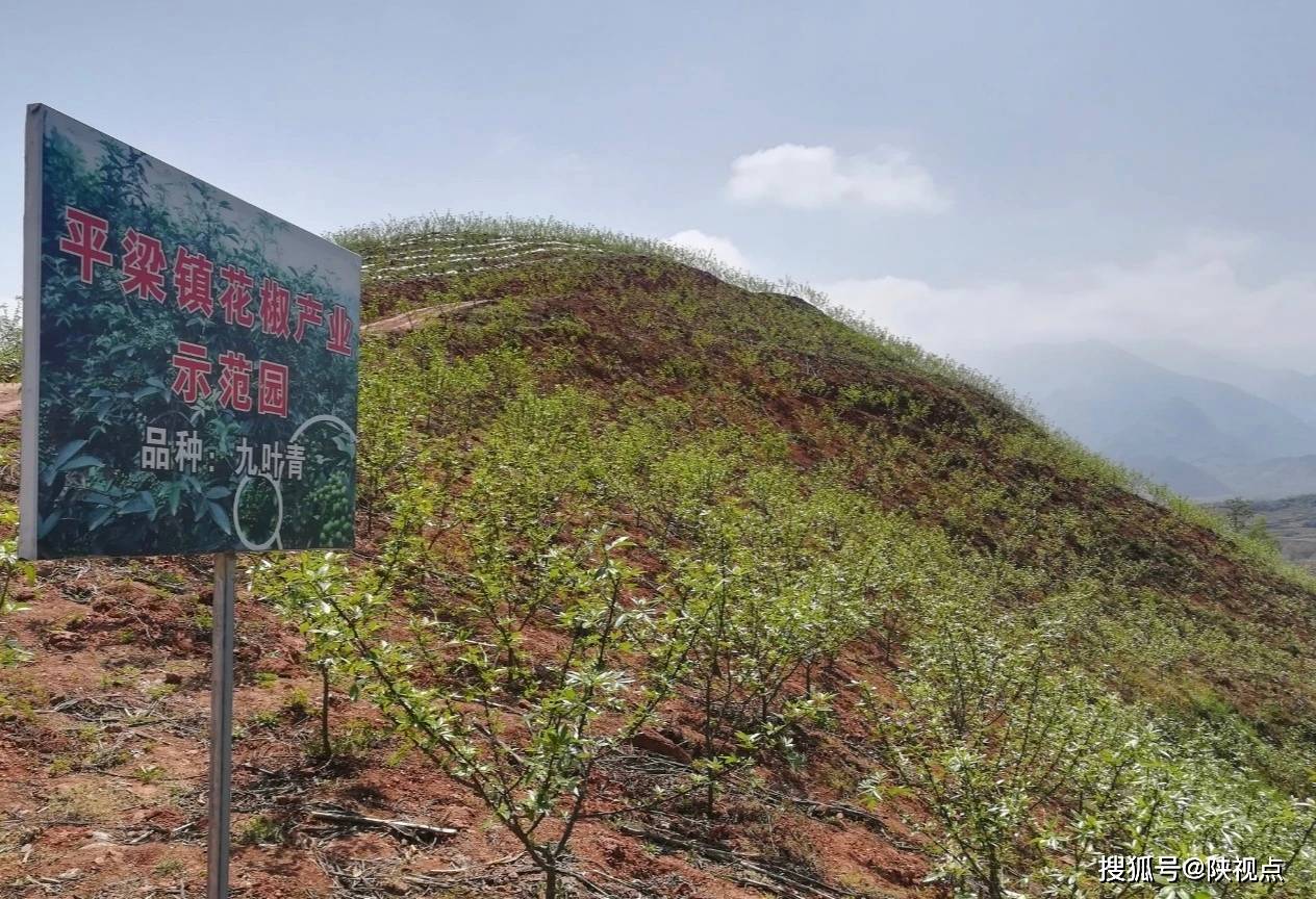 安康汉阴让绿水青山成为群众的“幸福靠山”