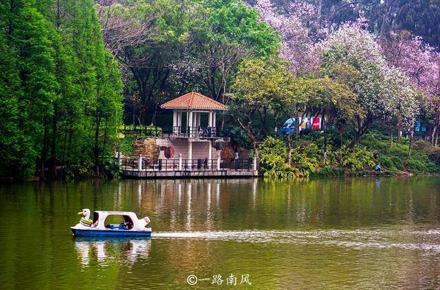 一到春天，广州这个地方就美成浪漫仙境，外地人一般不知道