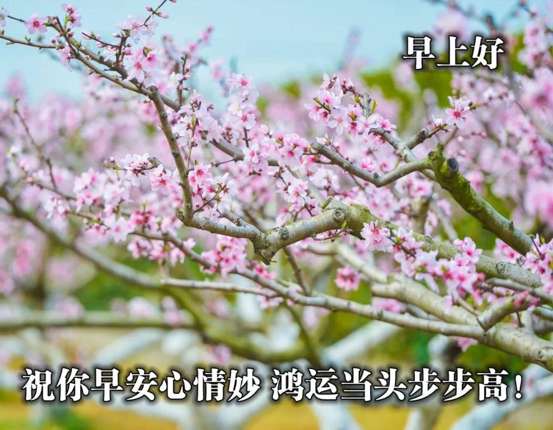 21正月廿二最新早安祝福语大全 愿你事事顺心 快乐相随 生活