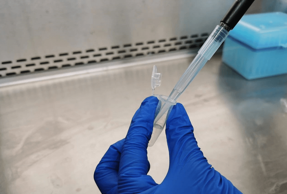 用采样拭子蘸pbs后对移液器的内外表面进行取样,取样后放入pbs中进行