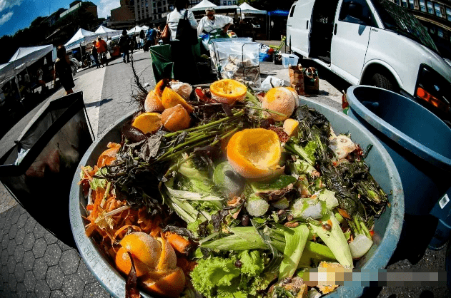 各国人均粮食_中国人均粮食数据图(2)