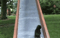 39fd2c05d9c24bdbb42184bdc9fafe2c.gif