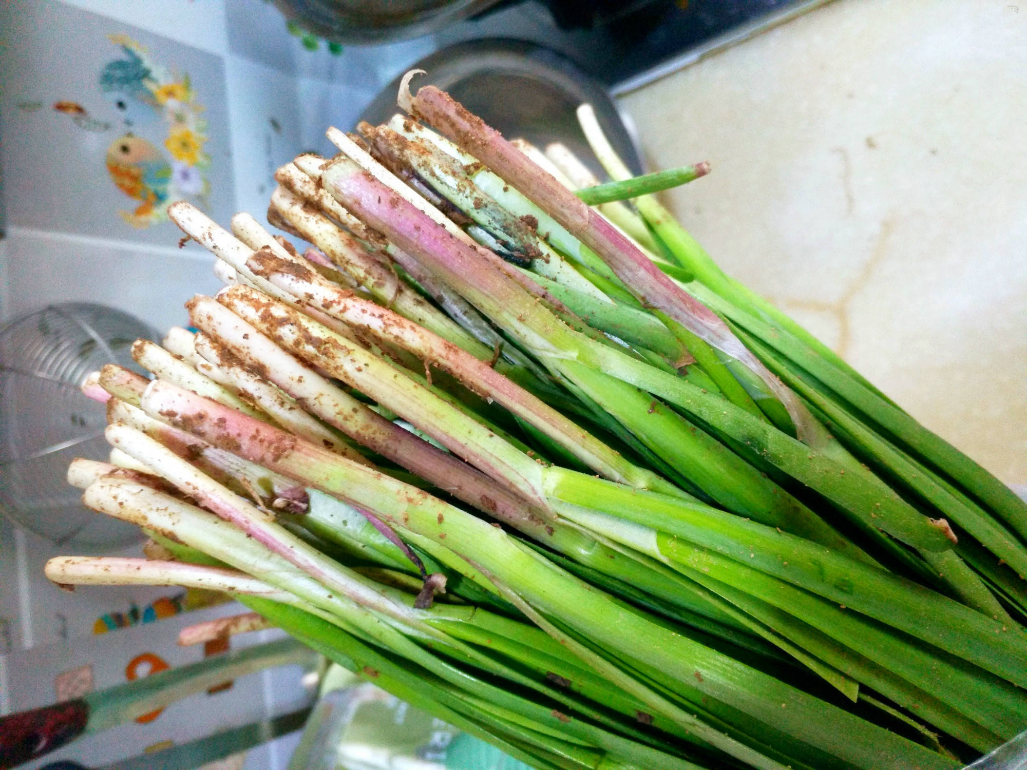 春天吃韭菜 搞清 紫根 和 白根 的区别 菜农 味道差别大了 根部