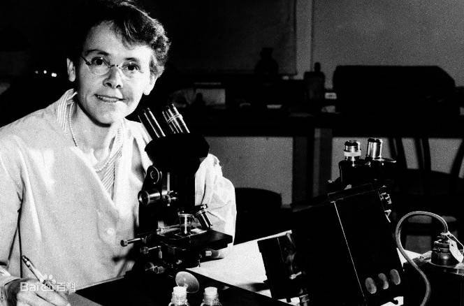 芭芭拉·麦克林托克 barbara mcclintock(1902-1992)玉米细胞遗传学