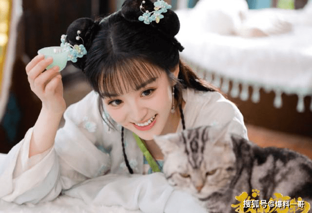 猫咪因 忌口 险些拆散情侣 网友 不是所有的猫猫都是 恋爱达人 苏小荷