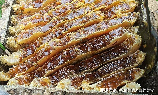 怎么辨别真假蜂蜜呢 蜂农 只需要把瓶子倒过来看 就这么简单 小气泡 怎么辨别真假蜂蜜呢 蜂农 只需要把瓶子倒过来看 就这么简单 小气泡