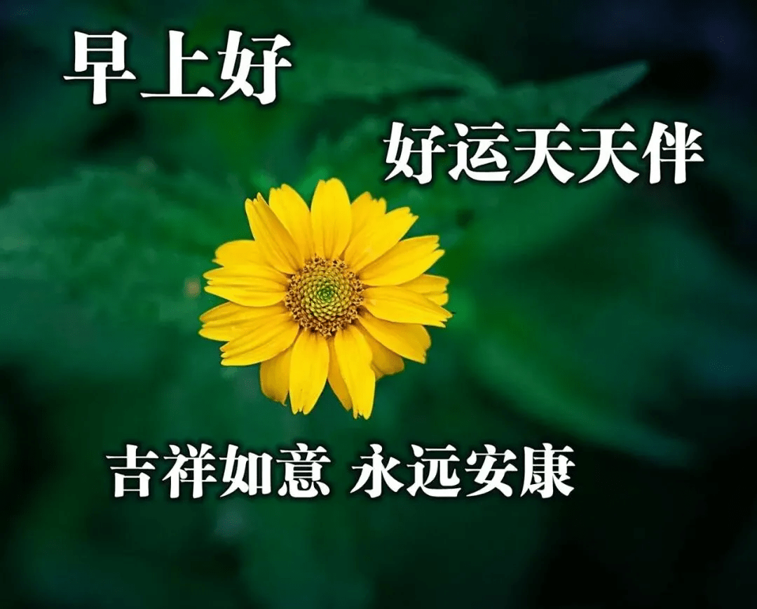 晨祝福語圖片大全,早上好問候句子表情包