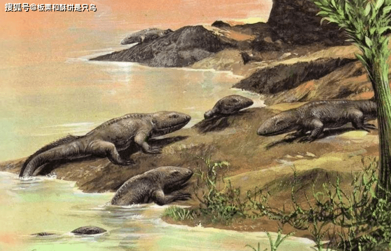 原创地球陆地生物和两栖生物的祖先生活在泥盆纪的鱼石螈率先登岸