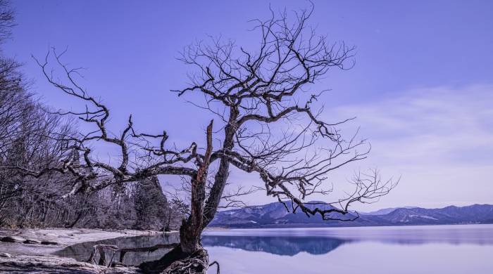 干衣机呈现周期性区域化引爆，本土企业来势凶猛-家电圈官网