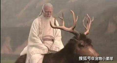 成语什么兽食人_成语故事简笔画(2)