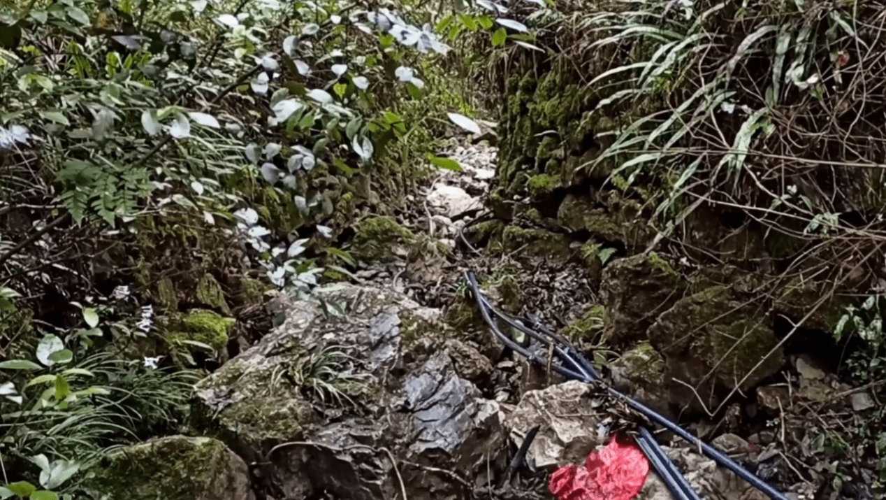 酉阳有多少人口_重庆酉阳有哪些街道(2)