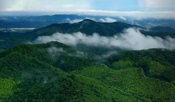 無想山景區位於南京市溧水區城南,系無想山國家森林公園的核心區,總