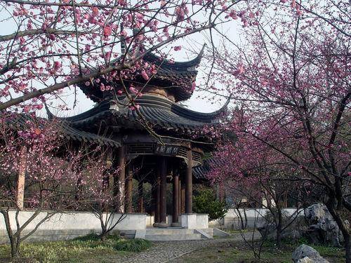 文化区|雨花台风景名胜区