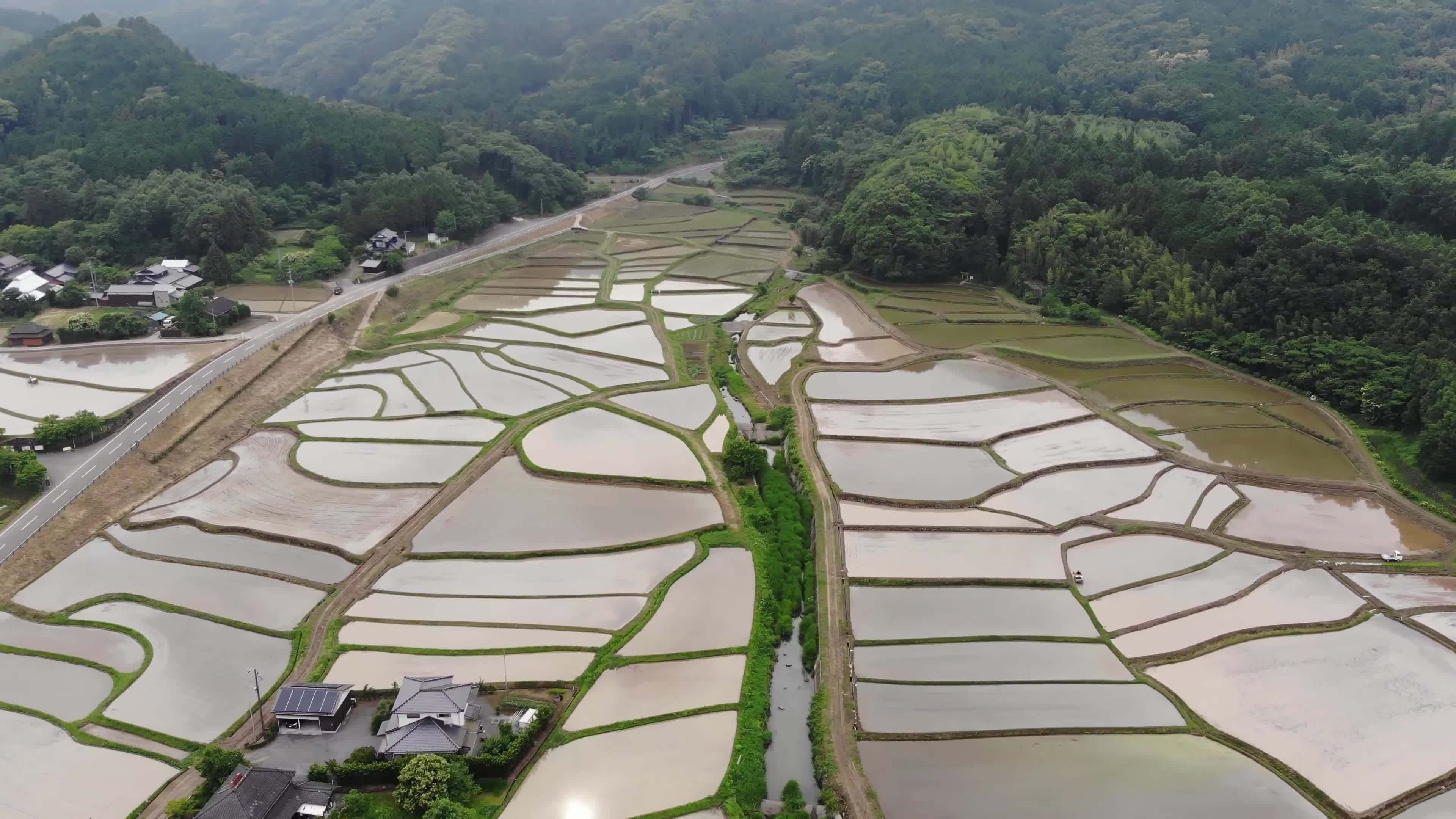 日本精致农业图片