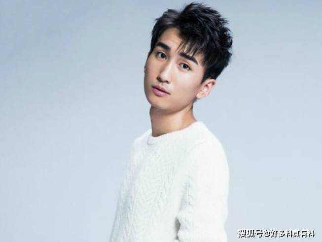 歌手张阳阳为什么不红 曾获得快乐男声全国第六名_实力