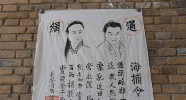 人口普查抓逃犯吗_人口普查