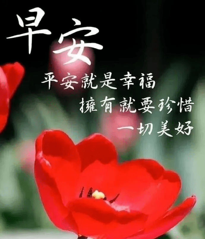 问候语简谱_早上好问候语图片