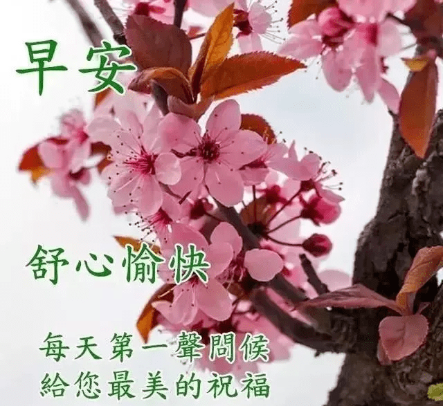 原创最新版早安问候语动态图片表情清晨早上好问候祝福动态表情图片