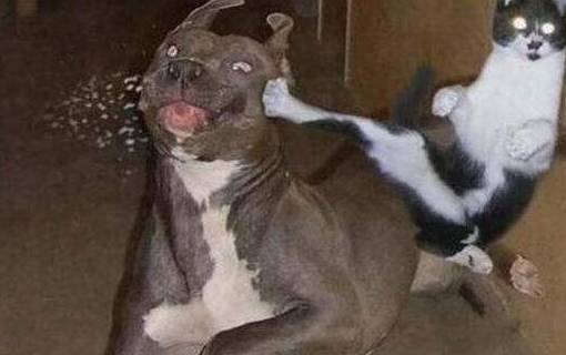 04e0943d7f0a49c9ad3a4b2dc7ba12ef.jpeg