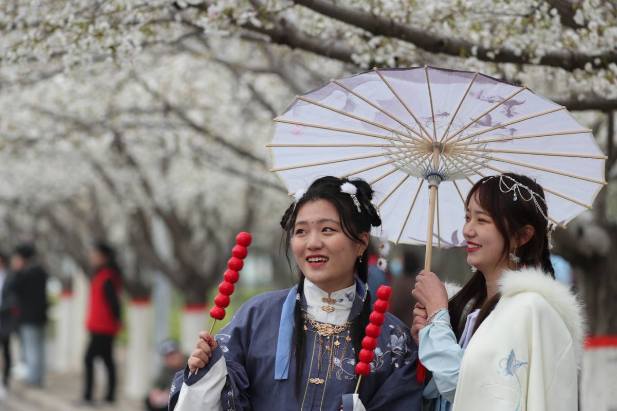 许昌学院樱花节图片