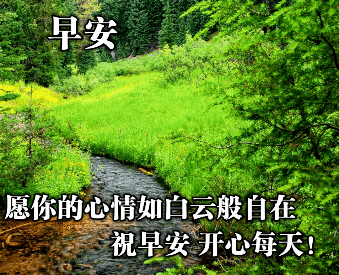 原創早上好問候語圖片大全最新最全的早上好祝福句子圖片