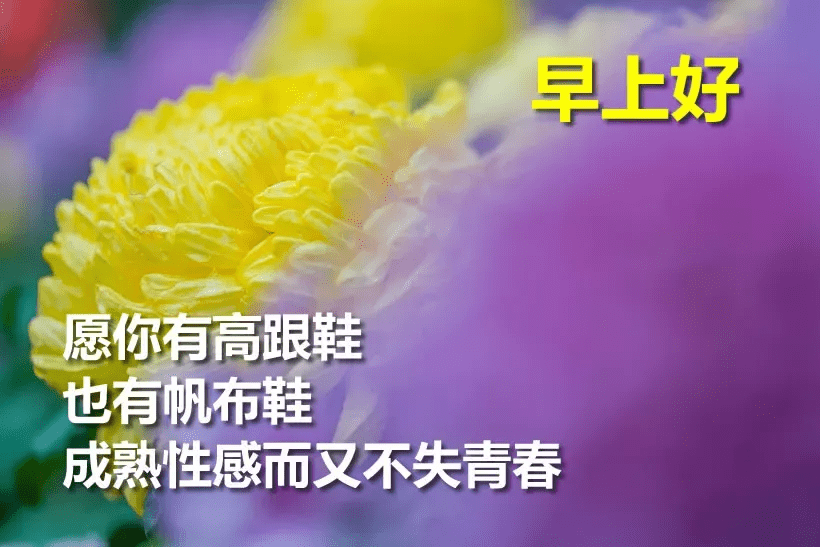 原創非常好看的早上好問候語動表情圖片最美早安祝福問候動態美圖