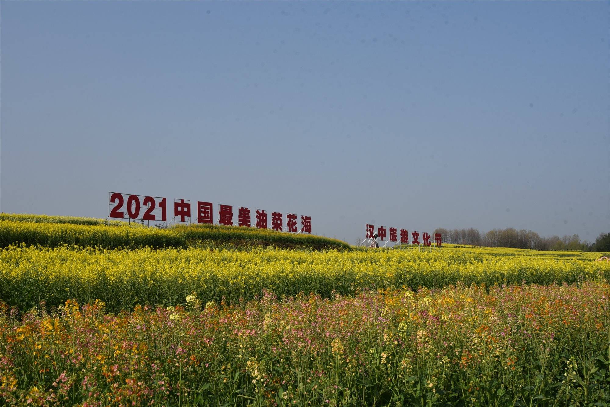 2021中国最美油菜花海汉中旅游文化节在西乡县启动