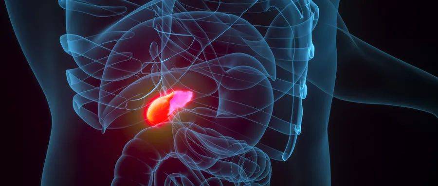 谈医论症 胆囊切除可 极致微创 手术