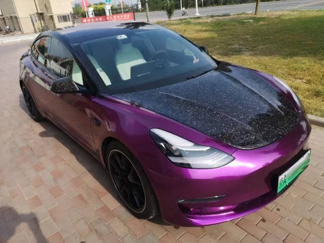 从特斯拉拥趸到维权者 他们身上发生了什么?_韩潮