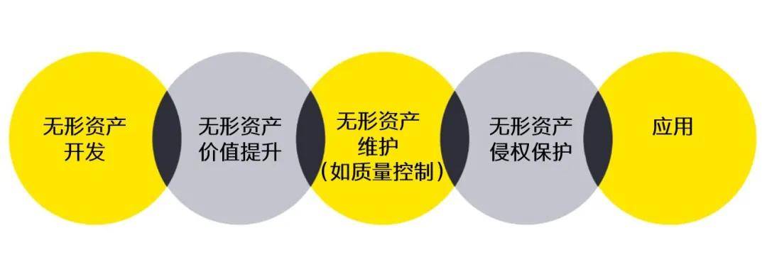 收购方需要识别被收购公司中的哪些实体执行了dempe功能,即无形资产的