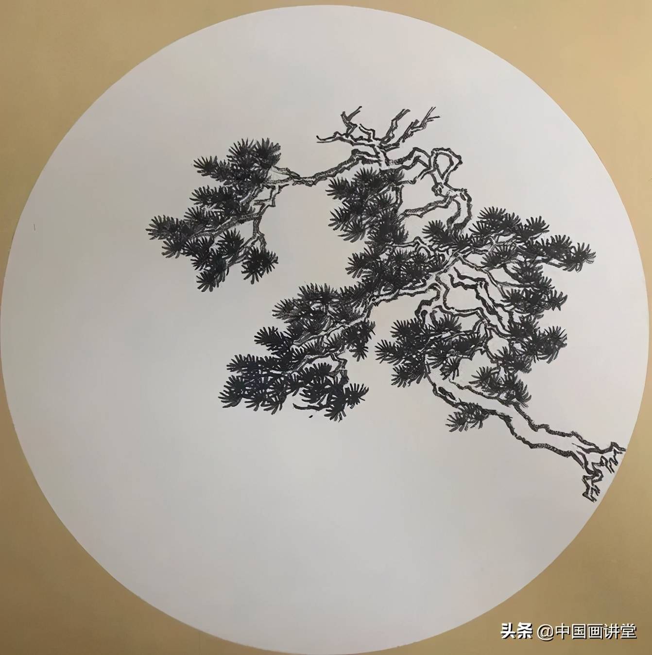 第一步:先勾勒出主景松樹的輪廓,注意造型姿態與枝幹穿插.