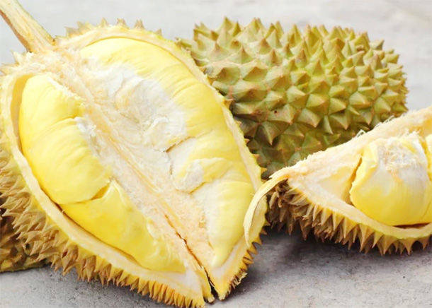 怎么挑选榴莲是熟的 1d125c02531d430c99926fe33ae07294.jpeg