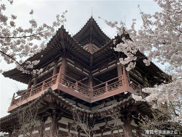 西安历史悠久的青龙寺，是个让人安静的地方，春天的樱花十分美丽